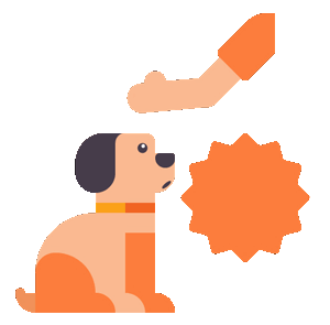 Dog behavior